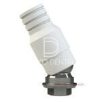 Engaging CrCo Dynamic Abutment 28º Comp. 0002